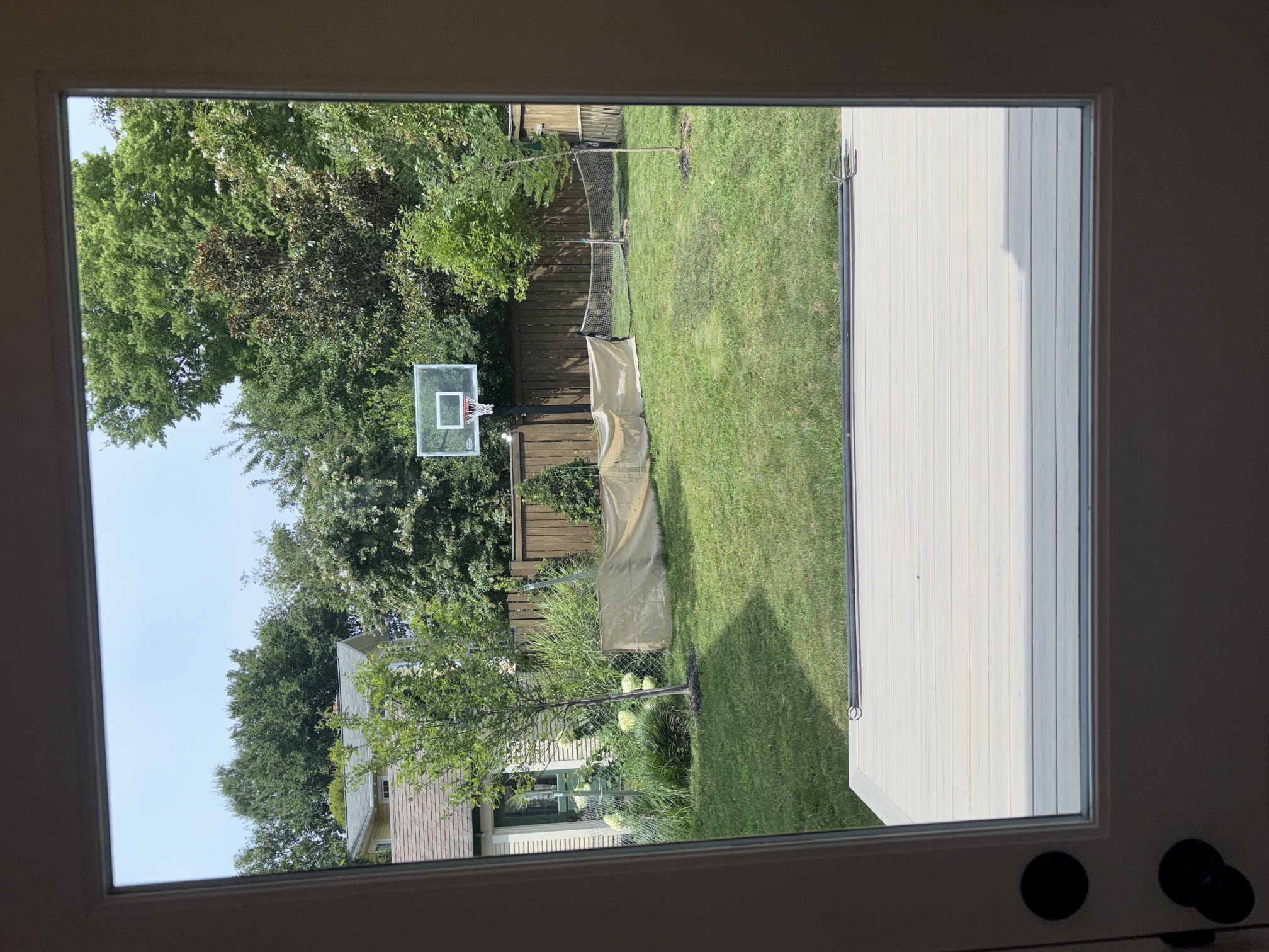 Backyard & Deck